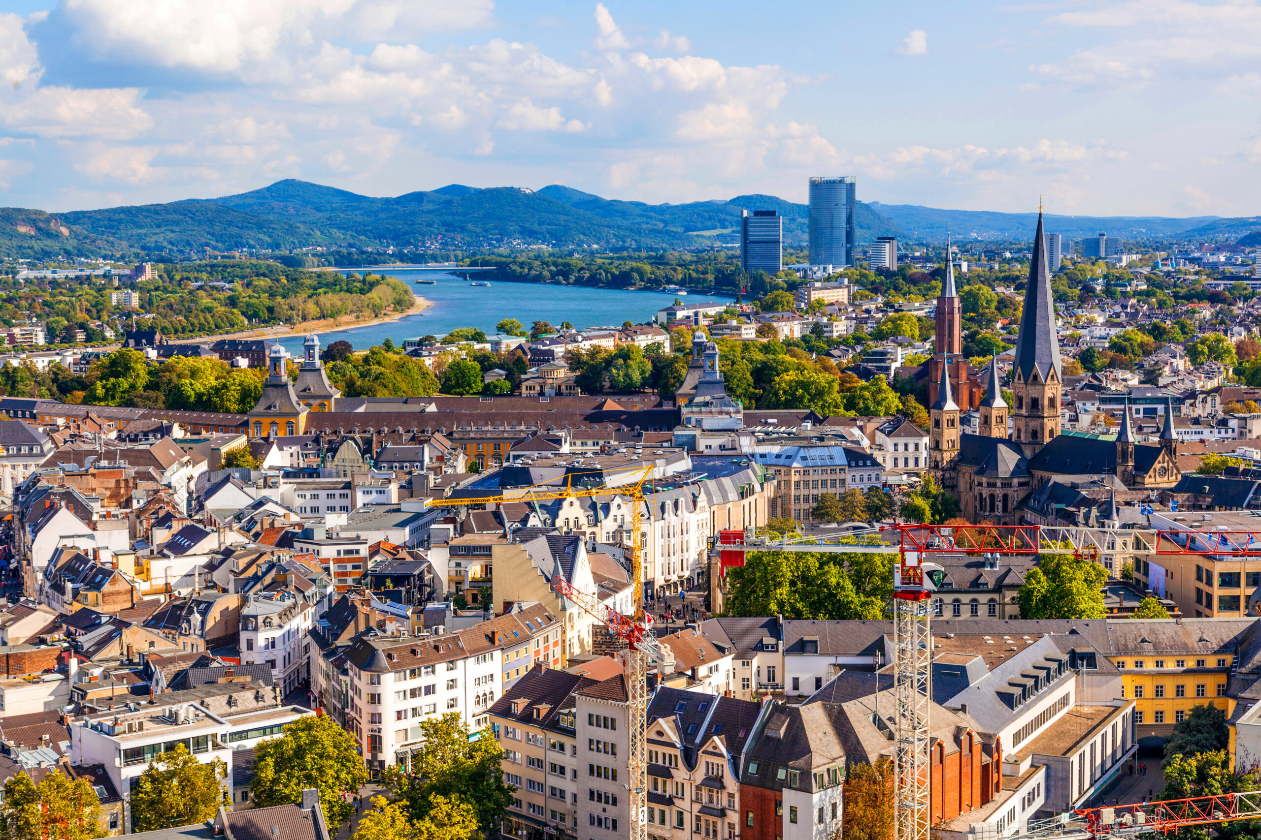 Bonn Spedition Cargoboard