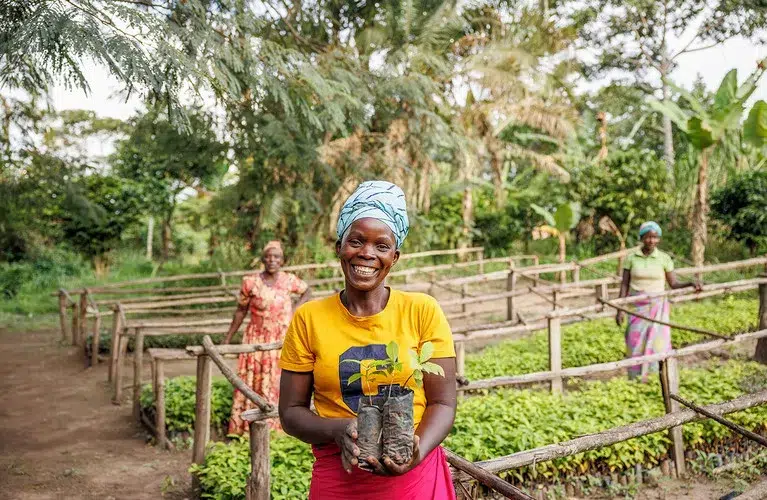 cargoboard klimaprojekt.uganda 1