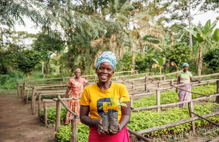 cargoboard klimaprojekt.uganda